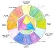 2019-20 Ficha 07 Círculo cromático_13