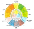 2019-20 Ficha 07 Círculo cromático_20