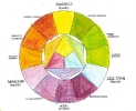 2019-20 Ficha 07 Círculo cromático