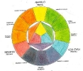 2019-20 Ficha 07 Círculo cromático_2
