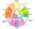 2019-20 Ficha 07 Círculo cromático