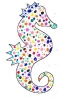 2020-21 Caballito de mar_27