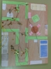 4 ESO B  PROYECTOS 2014-15 VIVIENDA 