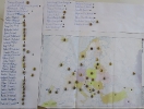 2 eso 2018-19 Mapa electrónico - Conecta_127