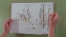 2 eso 2018-19 Mapa electrónico - Conecta_60