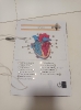 3 eso proyectos 2020-21 Conecta_9_102