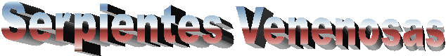 Serpientes Venenosas